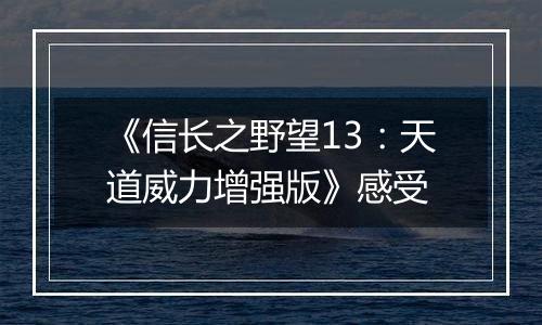 《信长之野望13：天道威力增强版》感受