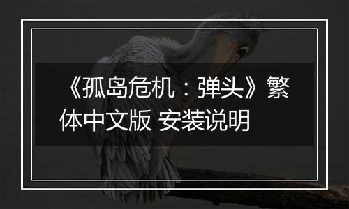 《孤岛危机：弹头》繁体中文版 安装说明