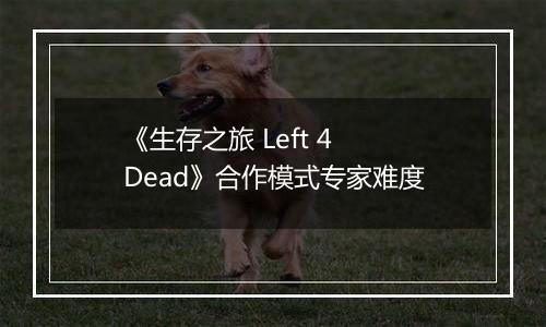 《生存之旅 Left 4 Dead》合作模式专家难度