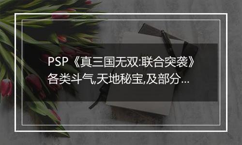 PSP《真三国无双:联合突袭》各类斗气,天地秘宝,及部分重要道具掉落地点