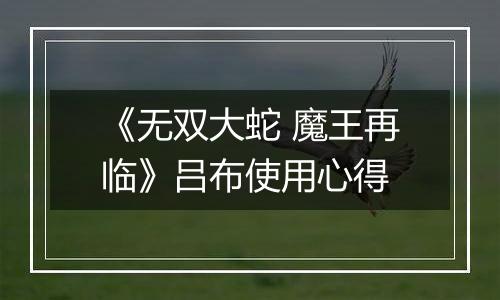 《无双大蛇 魔王再临》吕布使用心得