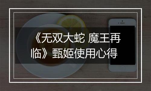 《无双大蛇 魔王再临》甄姬使用心得