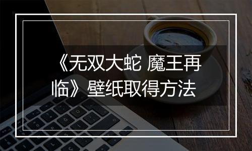 《无双大蛇 魔王再临》壁纸取得方法