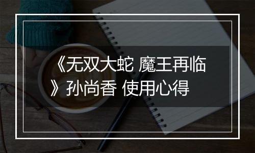 《无双大蛇 魔王再临》孙尚香 使用心得