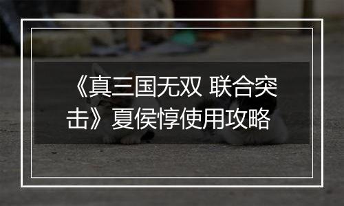 《真三国无双 联合突击》夏侯惇使用攻略
