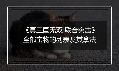 《真三国无双 联合突击》全部宝物的列表及其拿法