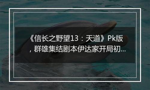 《信长之野望13：天道》Pk版，群雄集结剧本伊达家开局初步心得