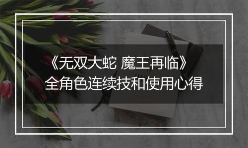 《无双大蛇 魔王再临》全角色连续技和使用心得