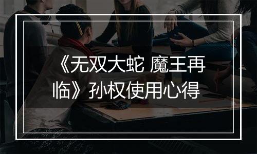 《无双大蛇 魔王再临》孙权使用心得