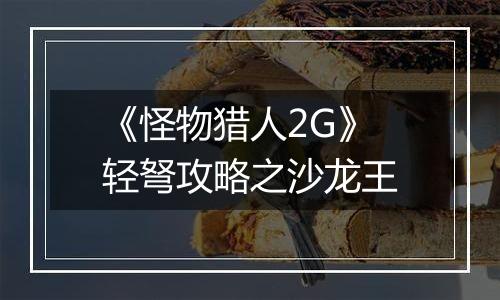 《怪物猎人2G》轻弩攻略之沙龙王