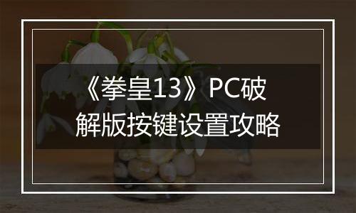 《拳皇13》PC破解版按键设置攻略