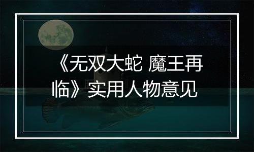 《无双大蛇 魔王再临》实用人物意见