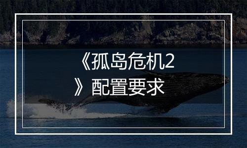 《孤岛危机2》配置要求