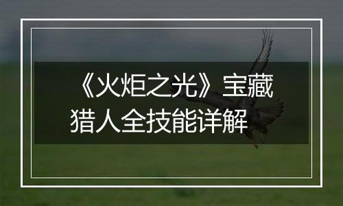 《火炬之光》宝藏猎人全技能详解