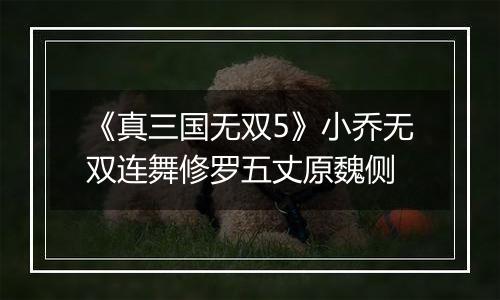 《真三国无双5》小乔无双连舞修罗五丈原魏侧