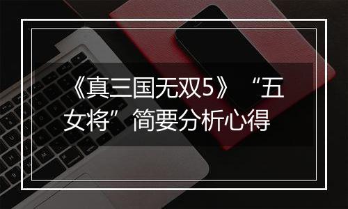 《真三国无双5》“五女将”简要分析心得
