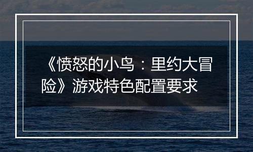 《愤怒的小鸟：里约大冒险》游戏特色配置要求