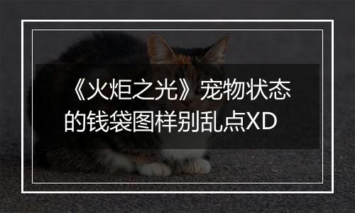 《火炬之光》宠物状态的钱袋图样别乱点XD