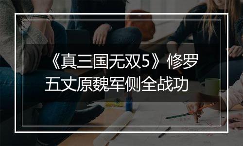 《真三国无双5》修罗五丈原魏军侧全战功