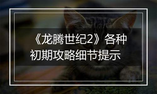 《龙腾世纪2》各种初期攻略细节提示