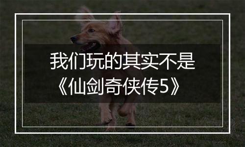 我们玩的其实不是《仙剑奇侠传5》