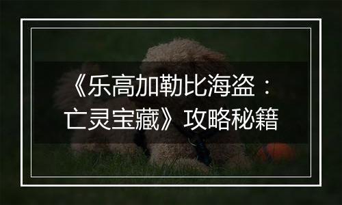 《乐高加勒比海盗：亡灵宝藏》攻略秘籍