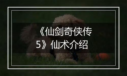 《仙剑奇侠传5》仙术介绍