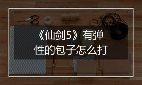 《仙剑5》有弹性的包子怎么打