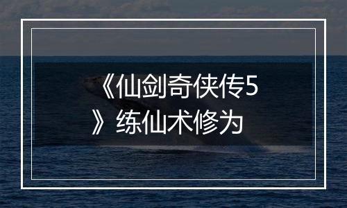 《仙剑奇侠传5》练仙术修为