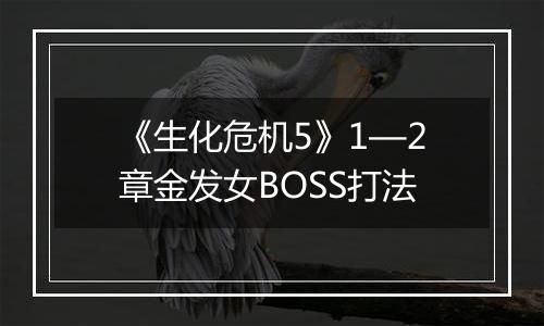 《生化危机5》1—2章金发女BOSS打法