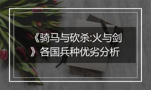 《骑马与砍杀:火与剑》各国兵种优劣分析