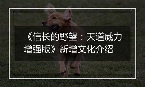 《信长的野望：天道威力增强版》新增文化介绍