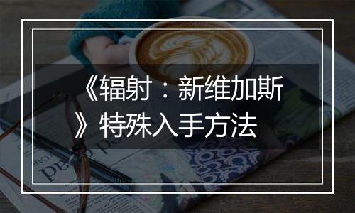 《辐射：新维加斯》特殊入手方法