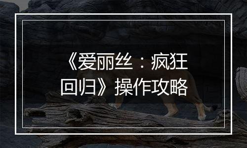 《爱丽丝：疯狂回归》操作攻略