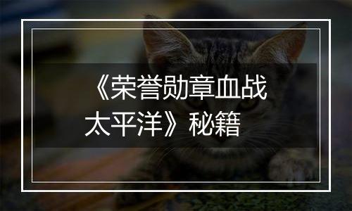 《荣誉勋章血战太平洋》秘籍