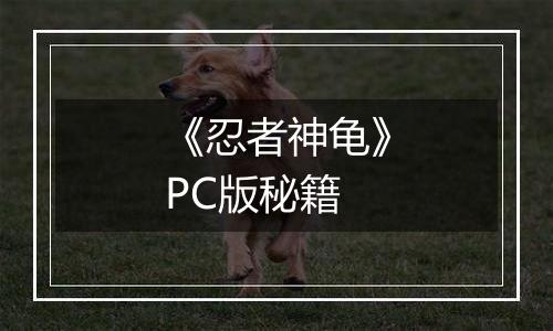 《忍者神龟》PC版秘籍