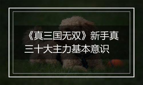 《真三国无双》新手真三十大主力基本意识