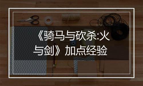 《骑马与砍杀:火与剑》加点经验