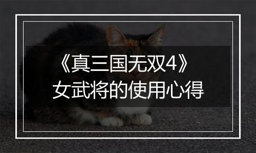 《真三国无双4》女武将的使用心得