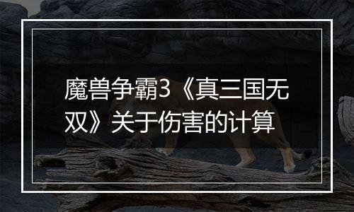 魔兽争霸3《真三国无双》关于伤害的计算