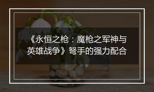 《永恒之枪：魔枪之军神与英雄战争》弩手的强力配合