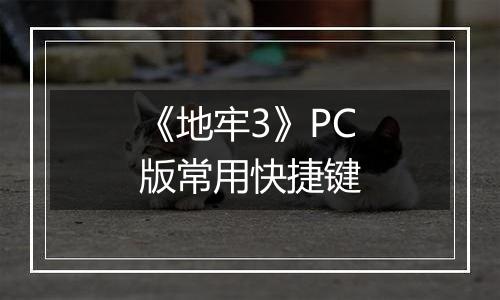 《地牢3》PC版常用快捷键