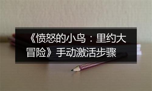 《愤怒的小鸟：里约大冒险》手动激活步骤