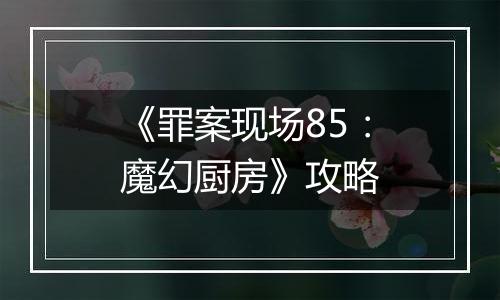 《罪案现场85：魔幻厨房》攻略