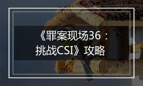 《罪案现场36：挑战CSI》攻略