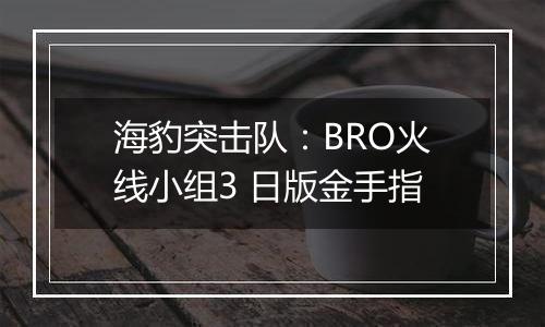 海豹突击队：BRO火线小组3 日版金手指