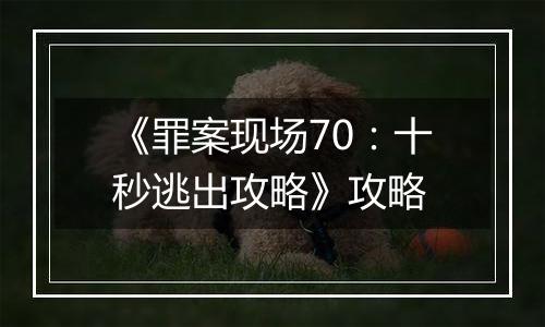 《罪案现场70：十秒逃出攻略》攻略