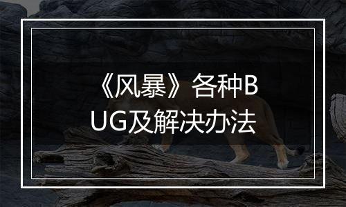 《风暴》各种BUG及解决办法