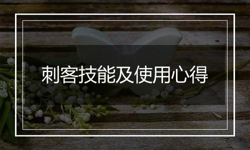 刺客技能及使用心得