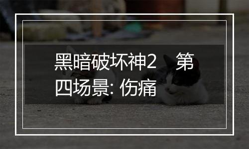 黑暗破坏神2　第四场景: 伤痛